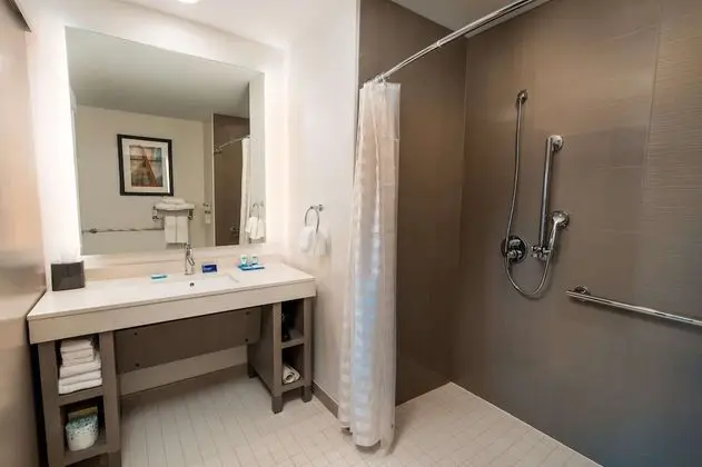 Süit, 1 Yatak Odası, Engellilere Uygun (Shower)