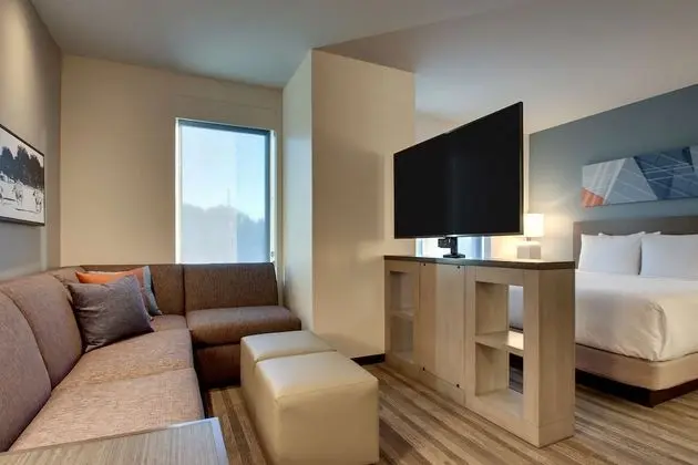 Studio Suite, 1 King Bed with Sofa bed
