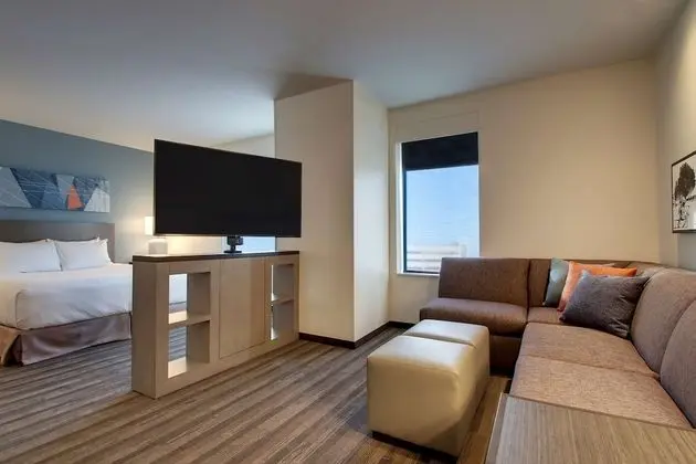 Studio Suite, 1 King Bed with Sofa bed