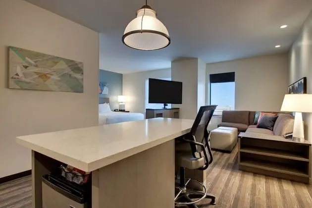 Studio Suite, 1 King Bed with Sofa bed