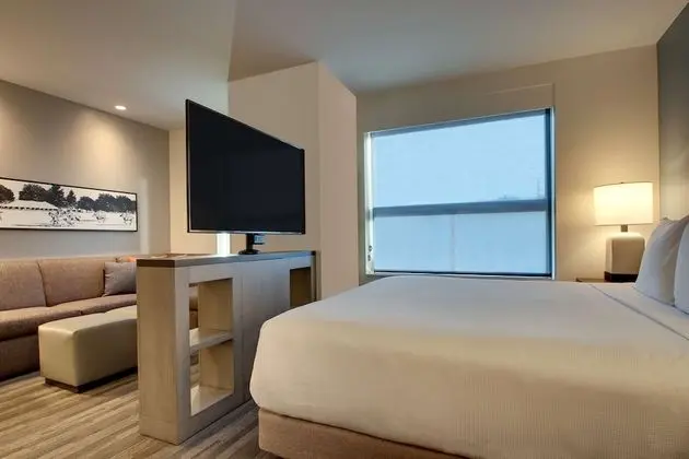Studio Suite, 1 King Bed with Sofa bed