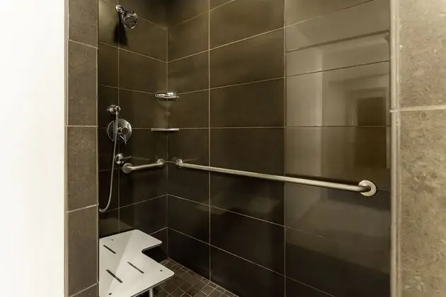 Stüdyo Süit, 1 En Büyük (King) Boy Yatak ve Çekyat, Engellilere Uygun (Shower)