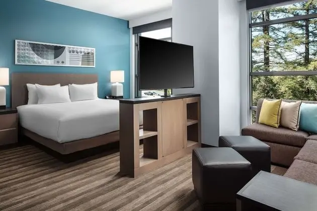 Stüdyo Süit, Mutfak (1 Kingbed & 1 Sofabed, Accessible)