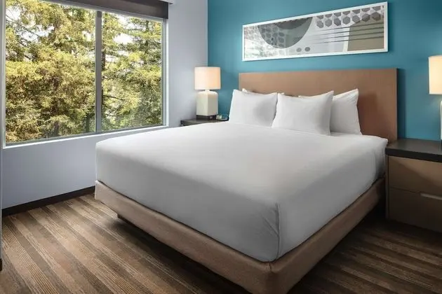 Süit, 1 Yatak Odası, Mutfak (Accessible, 1 King Bed & Sofa Bed)