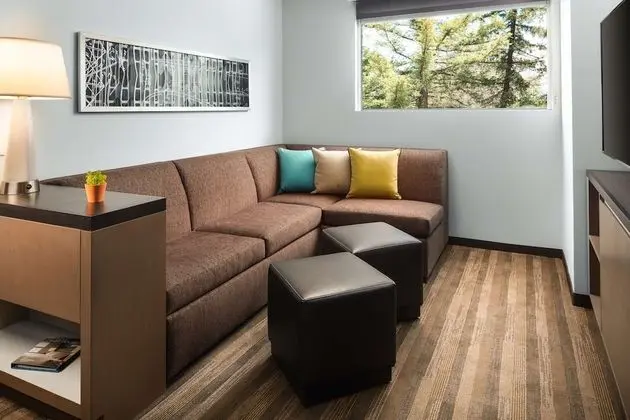 Süit, 1 Yatak Odası, Mutfak (Accessible, 1 King Bed & Sofa Bed)
