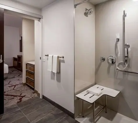 Süit, 1 Yatak Odası, Engellilere Uygun, Mutfak (With Shower)
