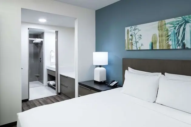 Süit, 1 Yatak Odası, Mutfak (1 King Bed & Sofa Bed)