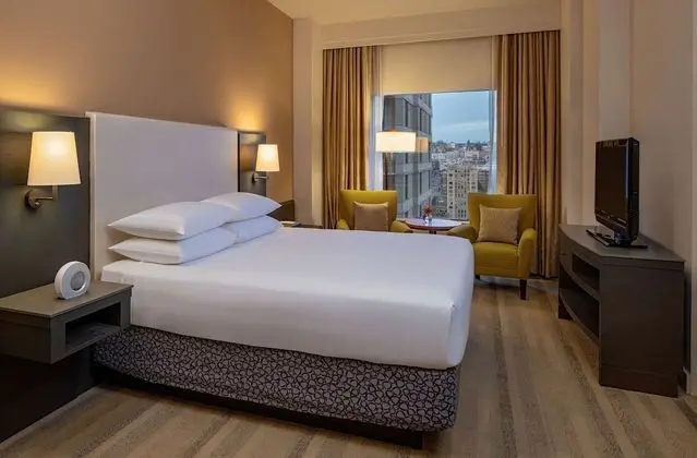 Luxury Süit, 1 En Büyük (King) Boy Yatak