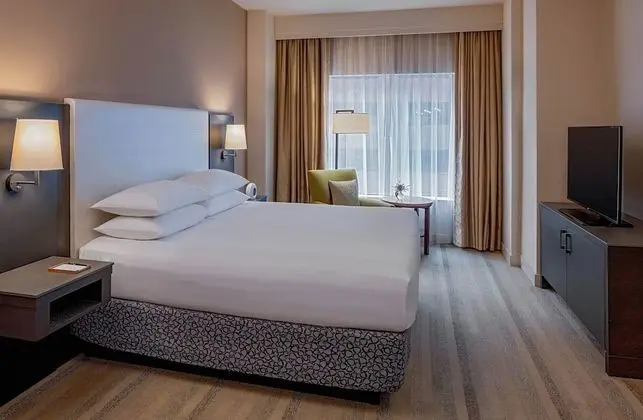 Luxury Süit, 1 En Büyük (King) Boy Yatak