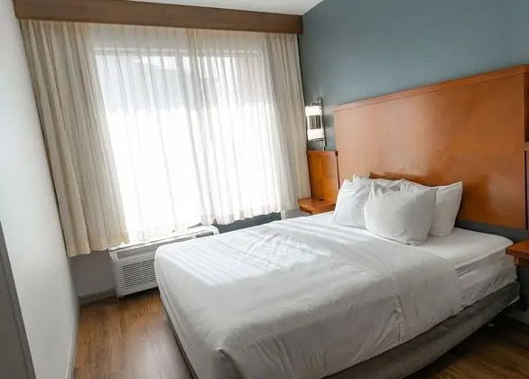 Oda, 1 En Büyük (King) Boy Yatak ve Çekyat (High Floor)