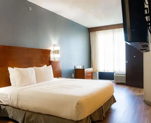 Oda, 1 En Büyük (King) Boy Yatak ve Çekyat (High Floor)