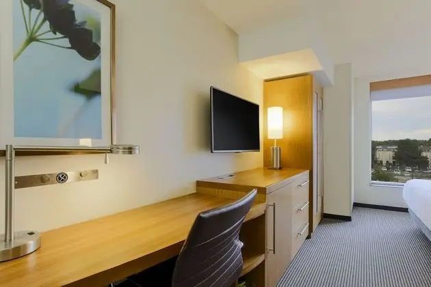 Oda, 1 En Büyük (King) Boy Yatak ve Çekyat (High Floor)