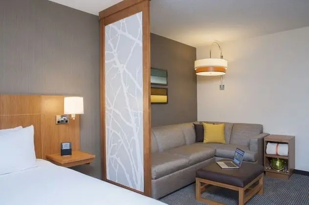Oda, 1 En Büyük (King) Boy Yatak ve Çekyat (High Floor)