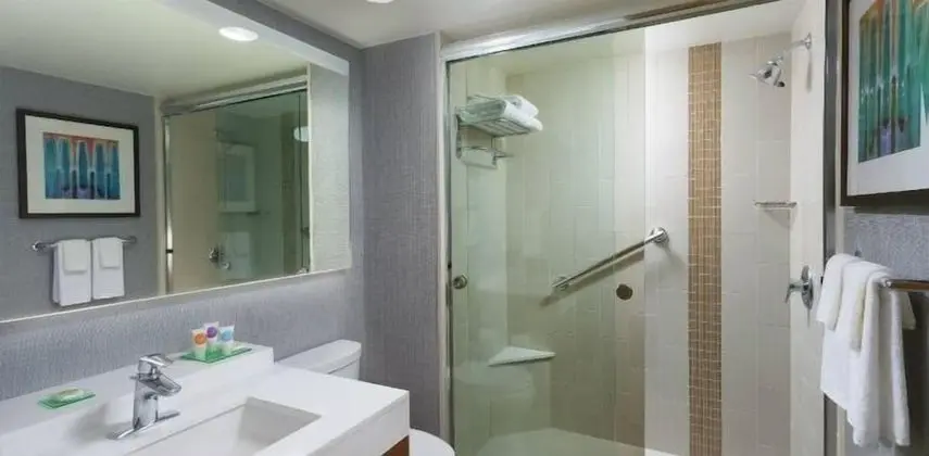 Oda, 1 En Büyük (King) Boy Yatak, Şehir Manzaralı (Boardroom Suite)