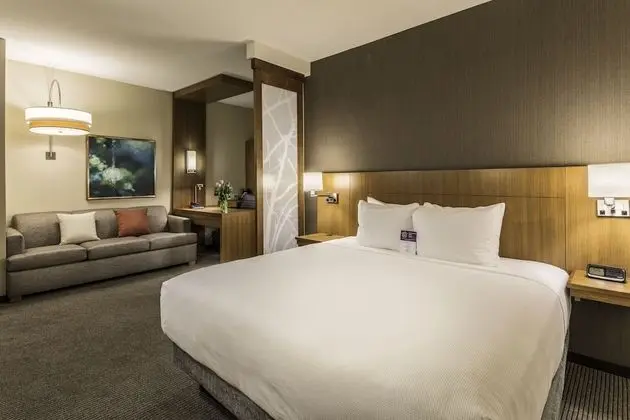 Oda, 1 En Büyük (King) Boy Yatak ve Çekyat (High Floor)