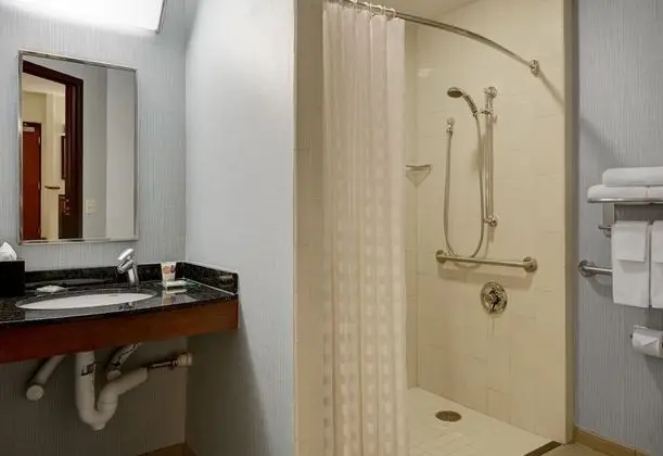 Oda, 1 En Büyük (King) Boy Yatak, Engellilere Uygun (Shower)