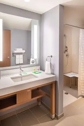 Süit, 1 Yatak Odası, Engellilere Uygun (Shower)