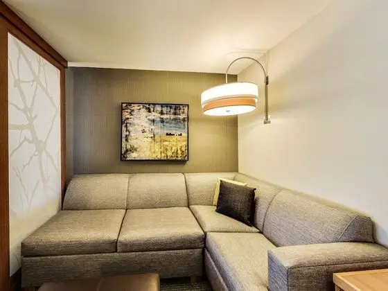Oda, 1 En Büyük (King) Boy Yatak ve Çekyat (High Floor)