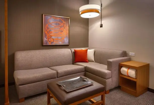 Süit, 1 En Büyük (King) Boy Yatak ve Çekyat (1 Bedroom)