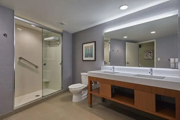 Süit, 1 Yatak Odası, Engellilere Uygun (Shower, 1 King Bed and Sofa Bed)