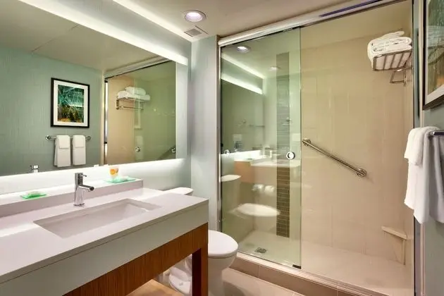 Süit, 1 En Büyük (King) Boy Yatak ve Çekyat, Engellilere Uygun (Shower)