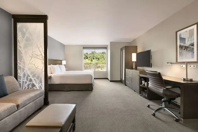 Room, 1 King Bed with Sofa bed, Accessible (Shower)