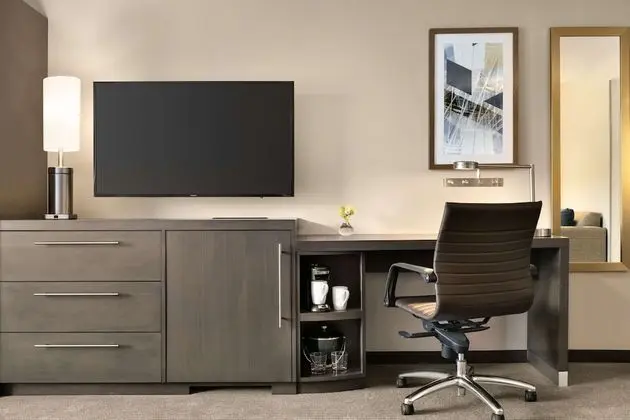 Room, 1 King Bed with Sofa bed, Accessible (Shower)