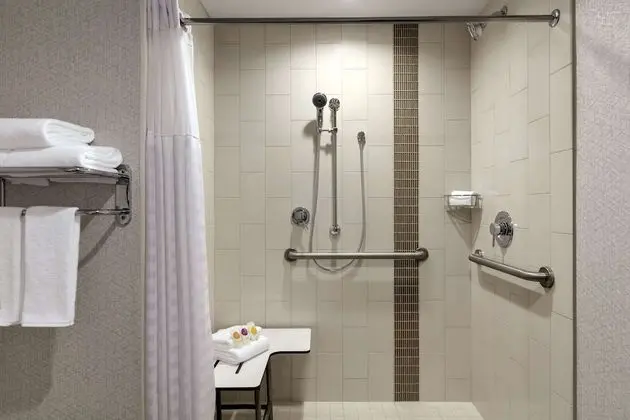 Room, 1 King Bed with Sofa bed, Accessible (Shower)