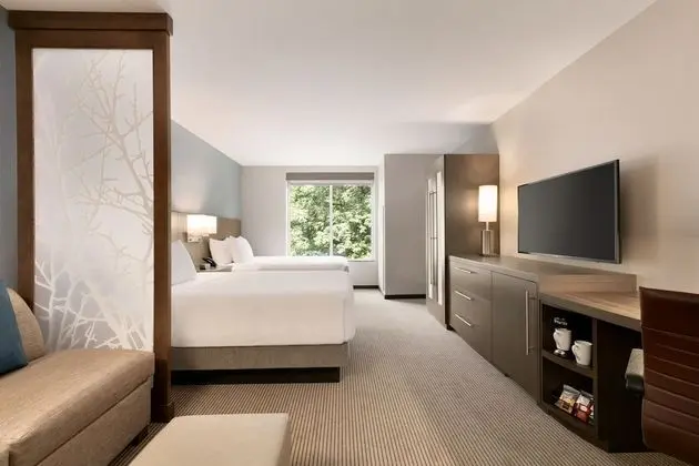 Room, Accessible, Bathtub (2 Queen Beds with Sofa bed)