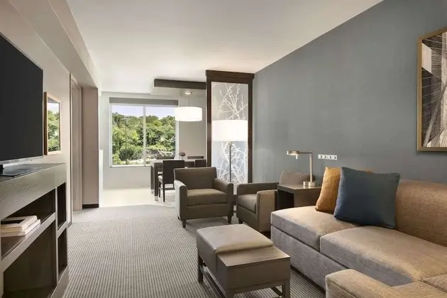 Suite, 1 King Bed with Sofa bed, Accessible (Shower)