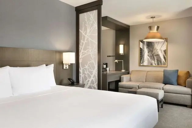 Suite, 1 King Bed with Sofa bed, Accessible (Shower)