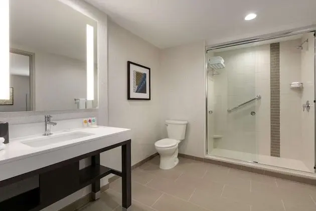 Suite, 1 King Bed with Sofa bed, Accessible (Shower)