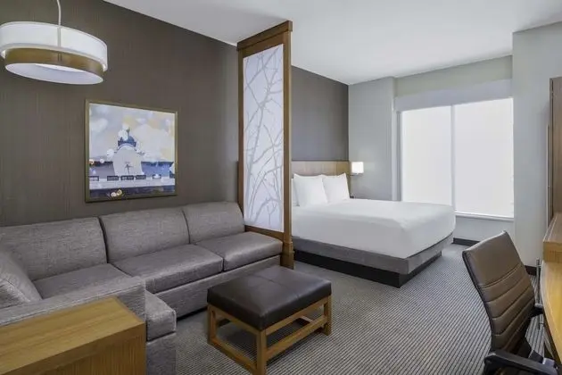 Oda, 1 En Büyük (King) Boy Yatak ve Çekyat (High Floor)