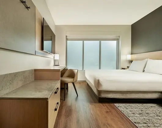 Oda, 1 En Büyük (King) Boy Yatak ve Çekyat (High Floor)