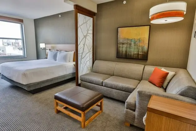 Oda, Birden Çok Yatak (2 queenbed & 1 sofabed)