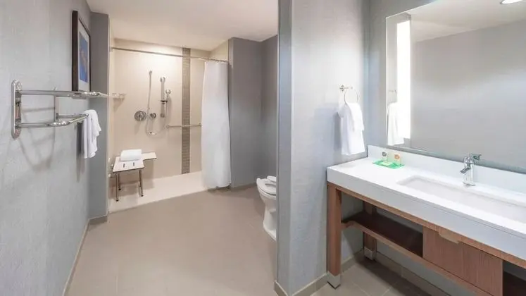 Süit, 1 En Büyük (King) Boy Yatak ve Çekyat, Engellilere Uygun (One Bedroom, With Shower)