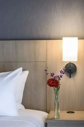 Oda, 1 En Büyük (King) Boy Yatak ve Çekyat (High Floor)