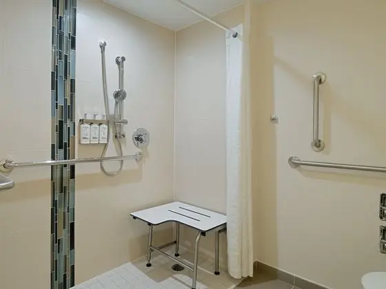 Stüdyo, 1 En Büyük (King) Boy Yatak, Engellilere Uygun (Mobility, Roll-In Shower)