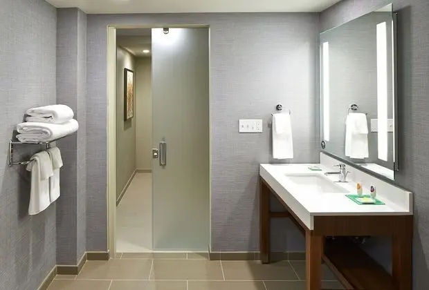 Süit, 1 En Büyük (King) Boy Yatak, Engellilere Uygun (Shower)