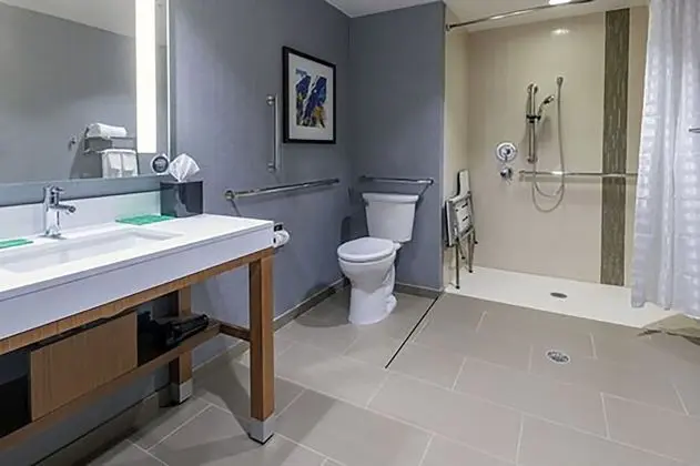 Süit, 1 En Büyük (King) Boy Yatak, Engellilere Uygun (Shower)