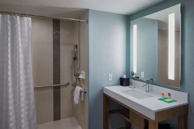 Süit, 1 Yatak Odası, Engellilere Uygun (1 King Bed, with Roll-In Shower)