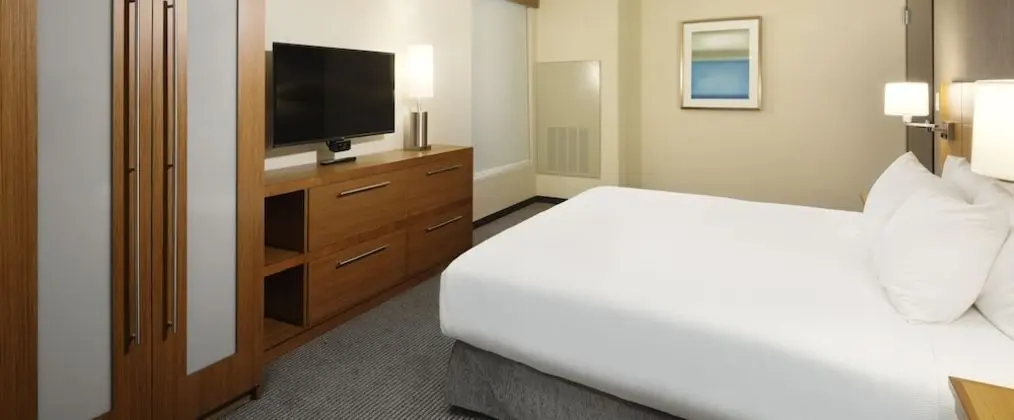 Süit (King 2 Room Suite)