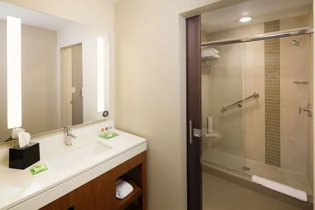 Süit (King 2 Room Suite)
