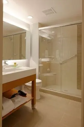 Oda, 1 En Büyük (King) Boy Yatak ve Çekyat, Engellilere Uygun (with Shower)