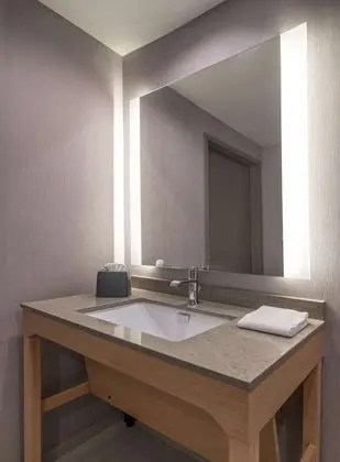 Oda, 1 En Büyük (King) Boy Yatak ve Çekyat, Engellilere Uygun (Roll-in Shower)