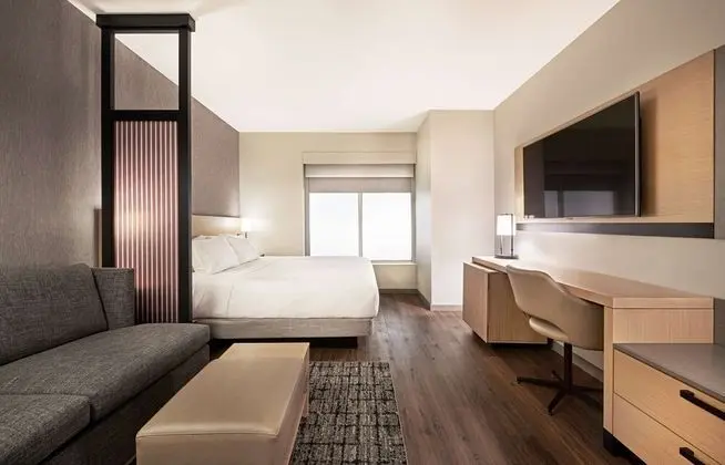 Oda, 1 En Büyük (King) Boy Yatak ve Çekyat (High Floor)