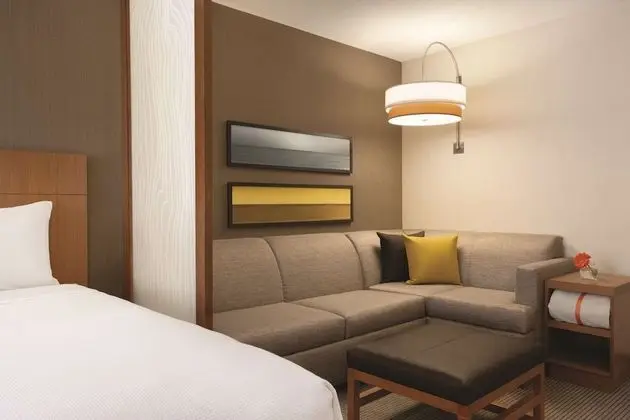 Süit, 1 En Büyük (King) Boy Yatak ve Çekyat (1 Bedroom)