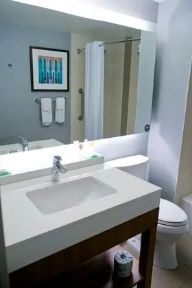 Oda, 1 En Büyük (King) Boy Yatak ve Çekyat (High Floor)