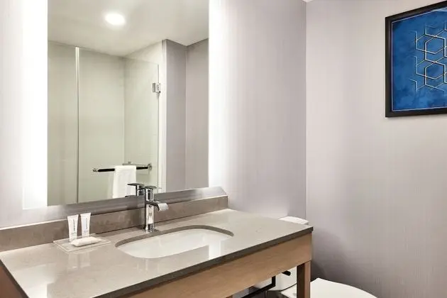 Oda, 1 En Büyük (King) Boy Yatak ve Çekyat, Şehir Manzaralı