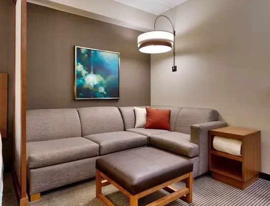 Deluxe Oda, Birden Çok Yatak (2 Queenbeds & Sofabed)